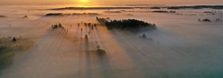 IEA World Energy Outlook 2025 Shows the Key Shifts Shaping Elcogen’s Market